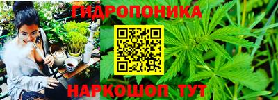 гашишное масло Гусев