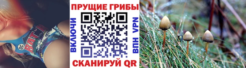 Галлюциногенные грибы прущие грибы  закладки  Ярцево 