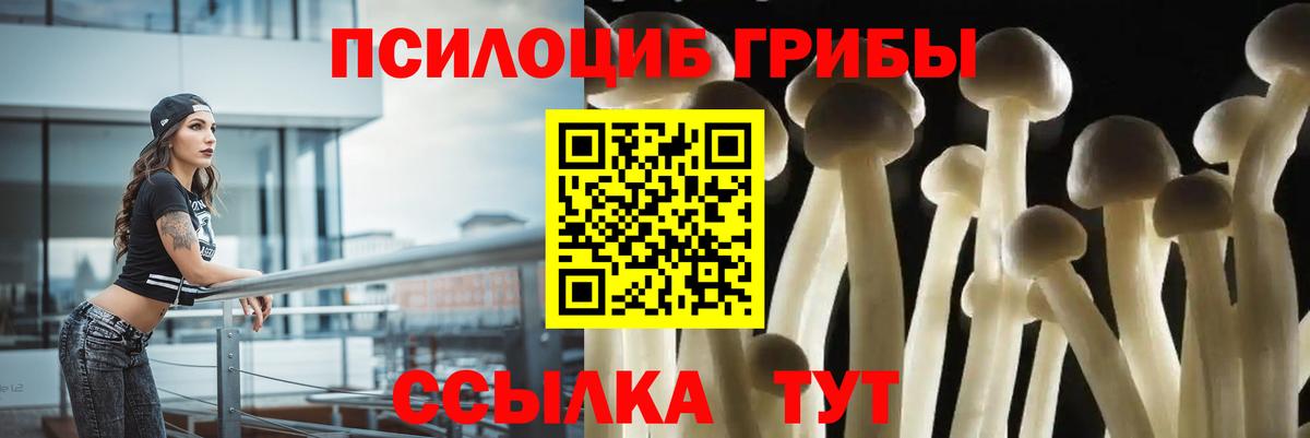 наркошоп  Вход с VPN  Ярцево  Псилоцибиновые грибы Cubensis 